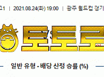 먹튀토토로 픽 국내축구 K리그 1부 8월24일  광주FC : 성남FC 분석